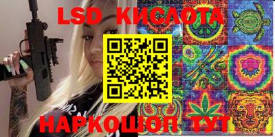 шишки Камышлов