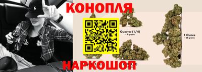 прущие крисы Кандалакша