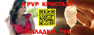 шишки Камышлов